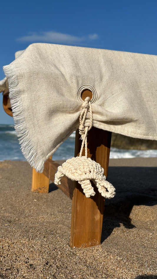 Caretta Caretta